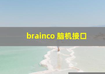 brainco 脑机接口